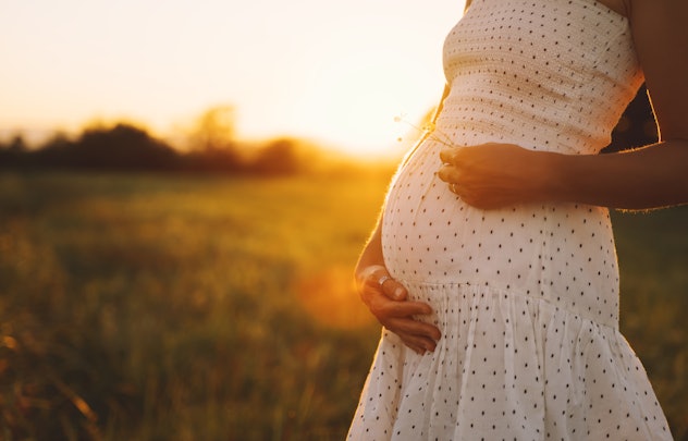 Close-up of pregnant woman with hands on her belly on nature background. 