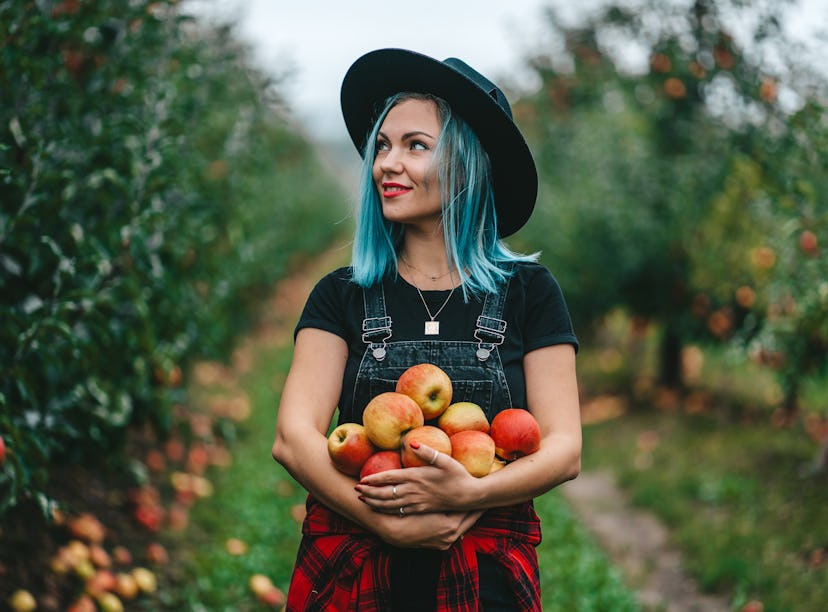 Blue haired woman picked up a lot of ripe red apple fruits in October 2021, the best month for her z...