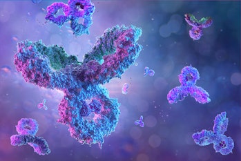 Antibodies, immunoglobulin Ig proteins 3D medical background. Immune system, IgM, IgG, IgE, IgD, IgA...