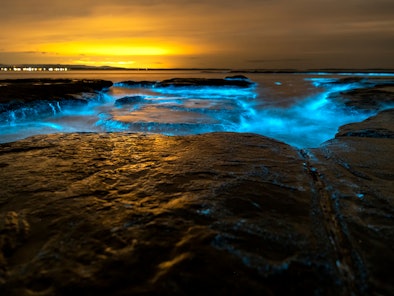Bioluminescent waves at night in Jervis Bay, Australia.