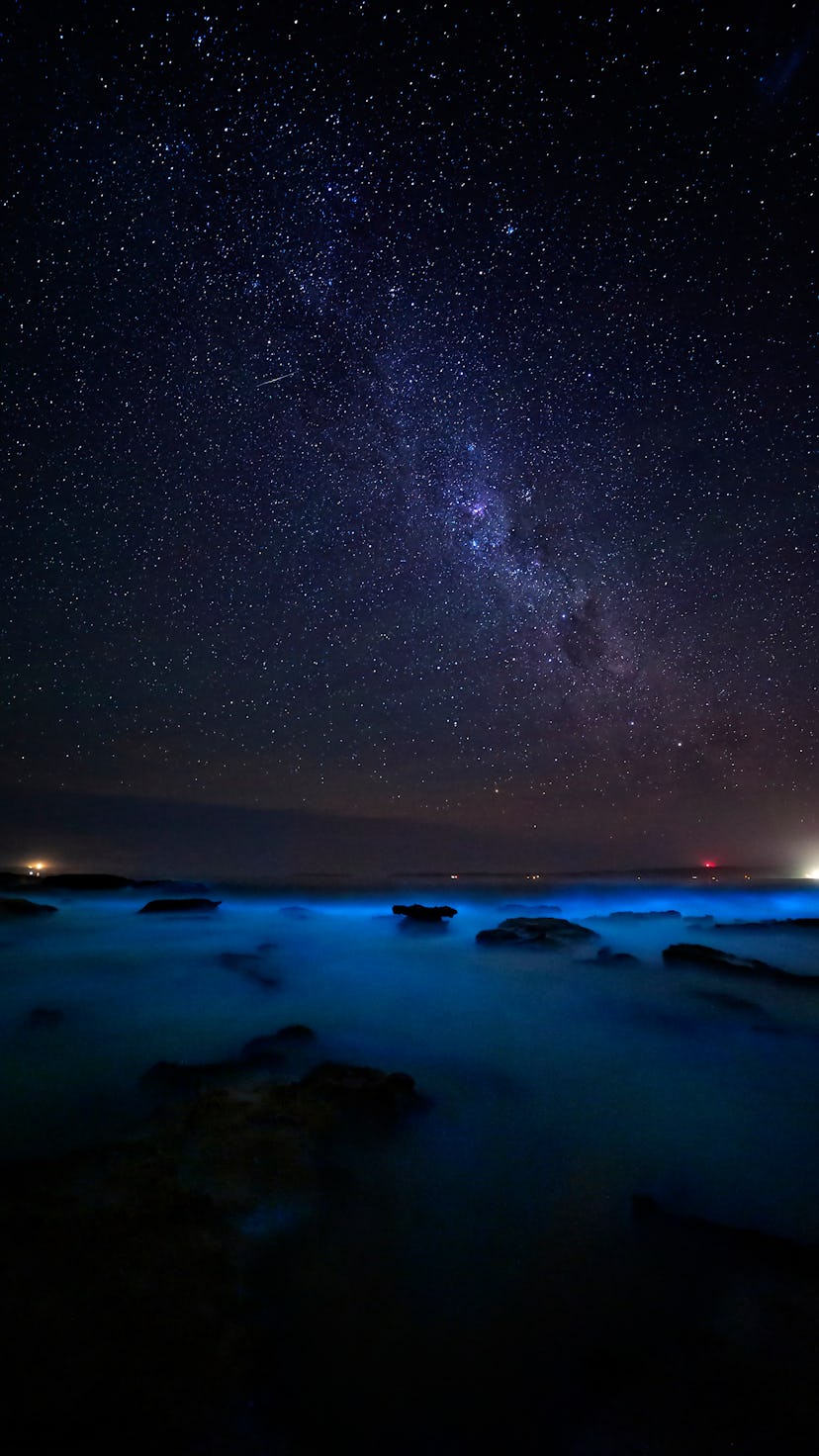 The ocean glowing a brilliant iridescent blue and glittering sparkly light from bioluminescent algae...