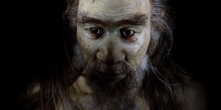 homo sapiens man face isolated on black