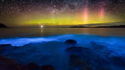 Bioluminescence algae is activated when there is movement in the water.