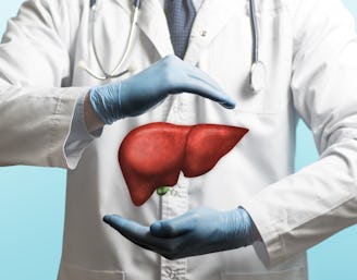 Image of a doctor in a white coat and liver above his hands. Concept of healthy liver and donation.