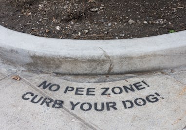 Curb your dog. No pee zone spray-painted on ground.