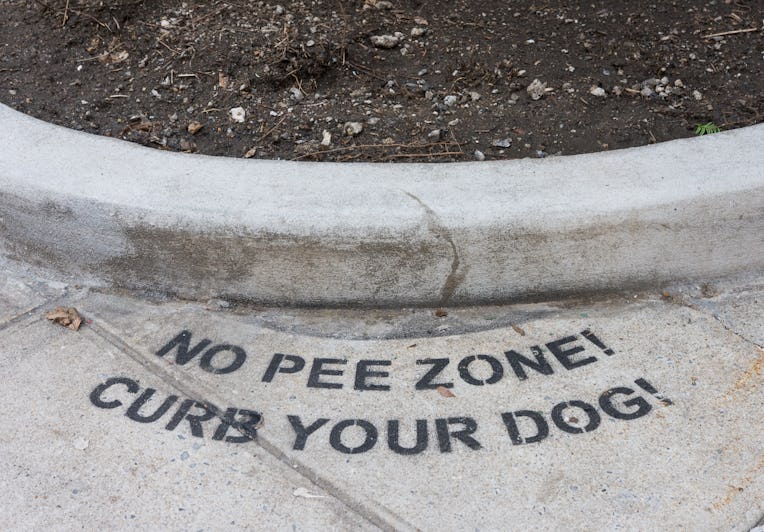 Curb your dog. No pee zone spray-painted on ground.