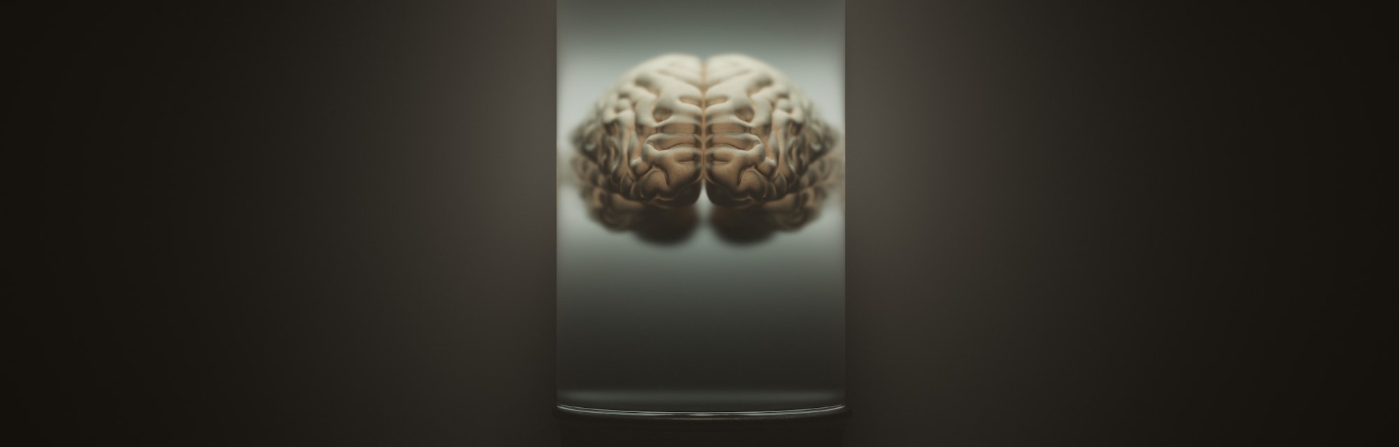 Human Brain Floating in a Liquid in a Bell Jar with a Dark Foggy Background 3d illustration 3d rende...