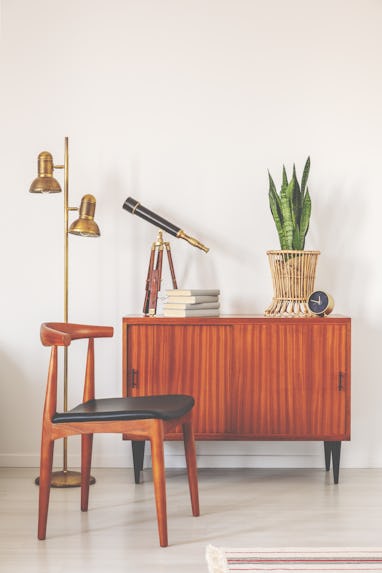 Trendy wooden chair next to retro cabinet with books and plant in pot, real photo with copy space on...