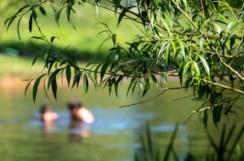 Wild swimming: Children (out of focus) swimming in nature, in the River Chess at Chorleywood, Hertfo...