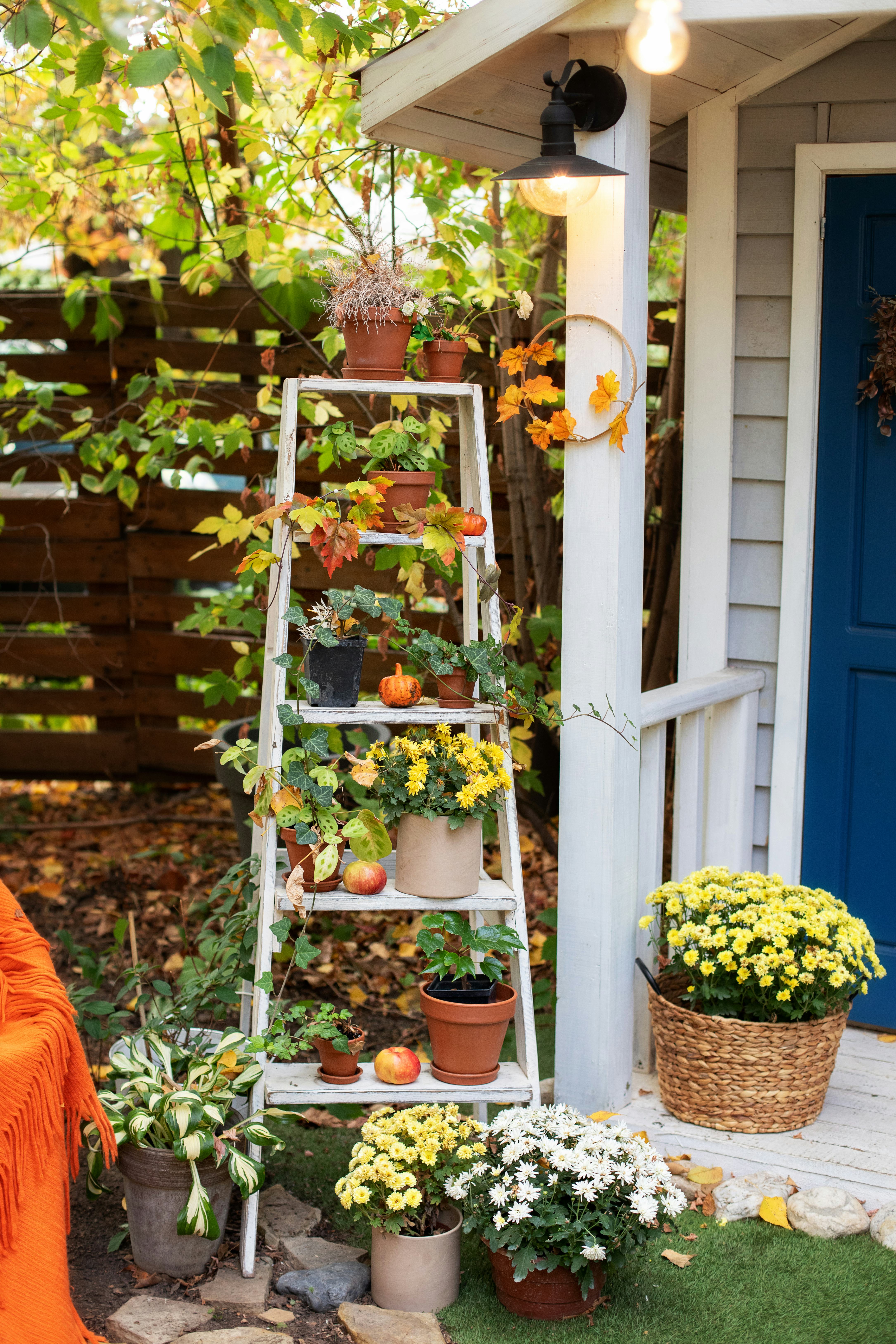 These Instagram accounts for fall gardening tips are gorgeous and helpful. 