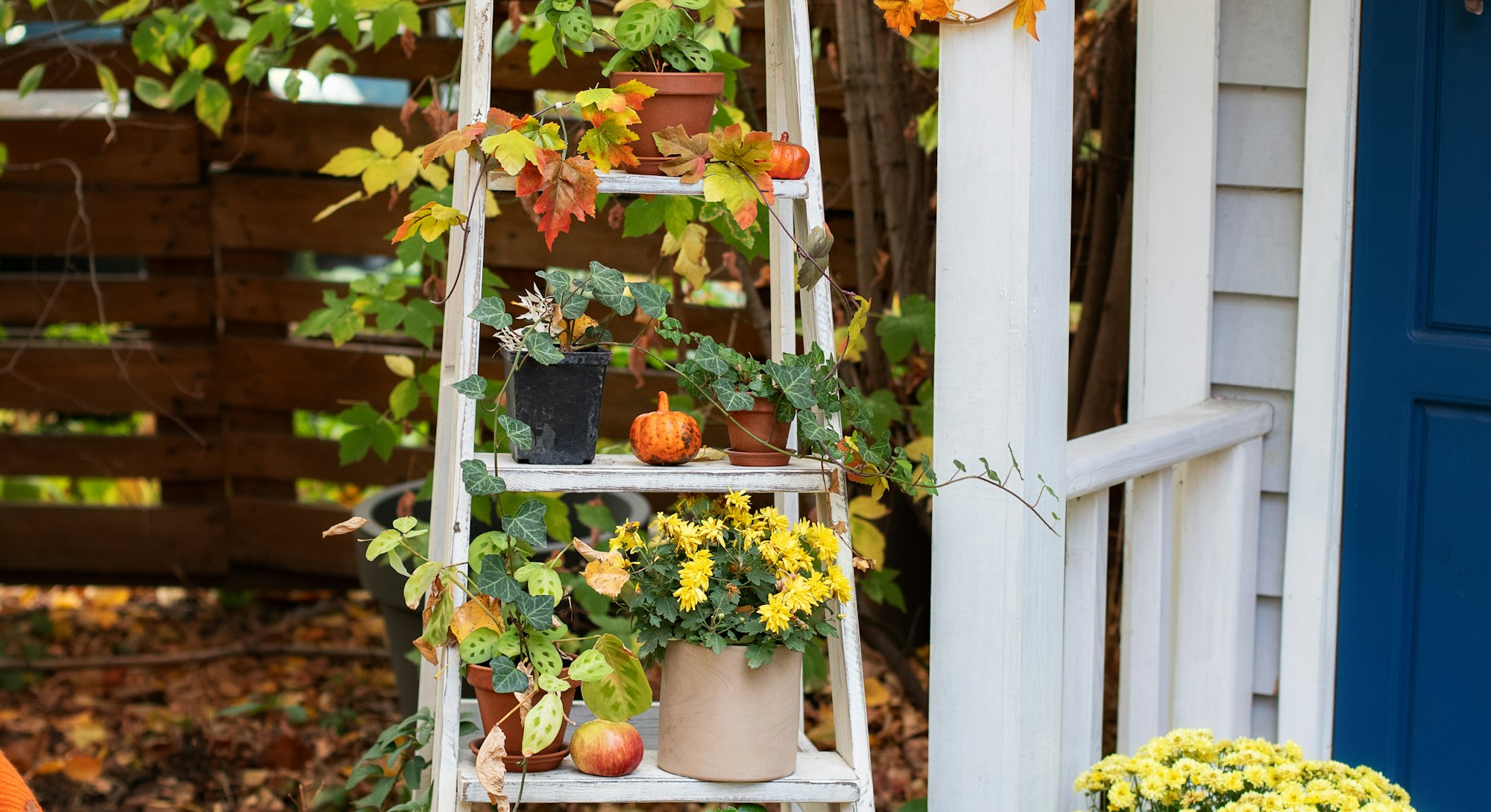 These Instagram accounts for fall gardening tips are gorgeous and helpful. 