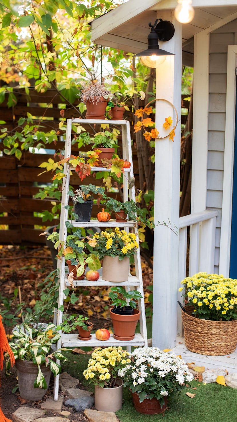 These Instagram accounts for fall gardening tips are gorgeous and helpful.