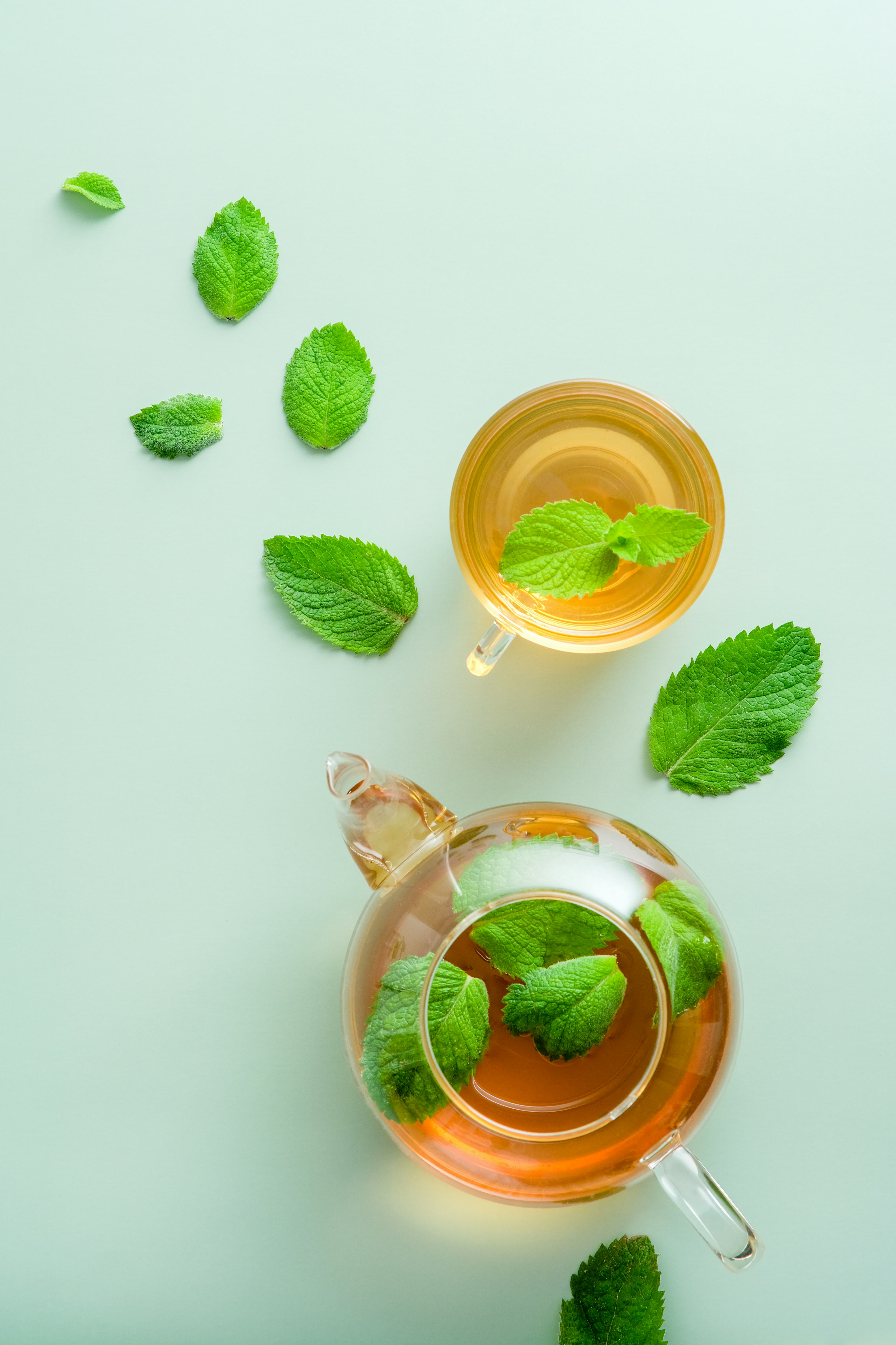 Mint tea. Flat lay, top view teapot and tea cup with mint leaves on green background.