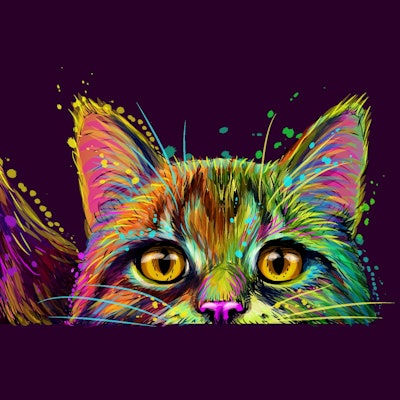 Dog and cat. Wall sticker.  Abstract, multicolored, neon portrait of a dog and cat in the style of p...