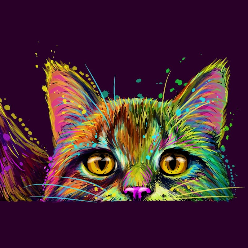 Dog and cat. Wall sticker. Abstract, multicolored, neon portrait of a dog and cat in the style of p...