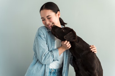 Cute young woman hugs her puppy labrador dog. Dog kisses a girl. Love between dog and owner. Isolate...