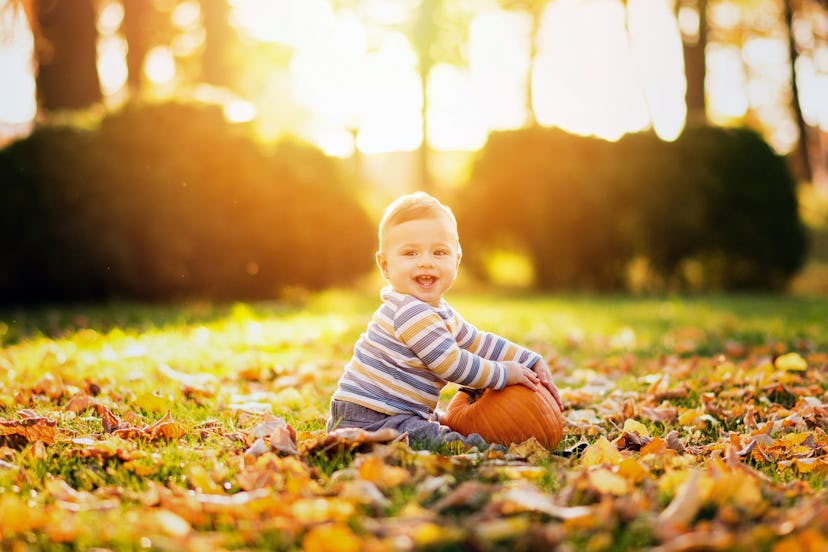 Little baby boy with pumpkin in park on sunny autumn day. Natural lighting, back light, vibrant colo...
