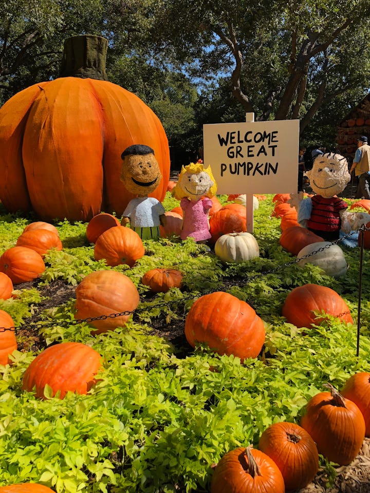 a model scene of It’s The Great Pumpkin, Charlie Brown