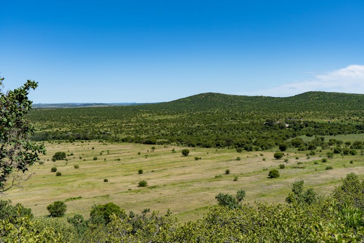 Landscape shot of farm and nature reserve land in the Vredefort Dome in South Africa