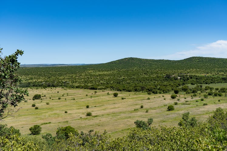 Landscape shot of farm and nature reserve land in the Vredefort Dome in South Africa
