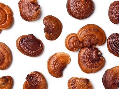 Flat lay of Red Reishi Mushroom (Lingzhi) isolated on white.