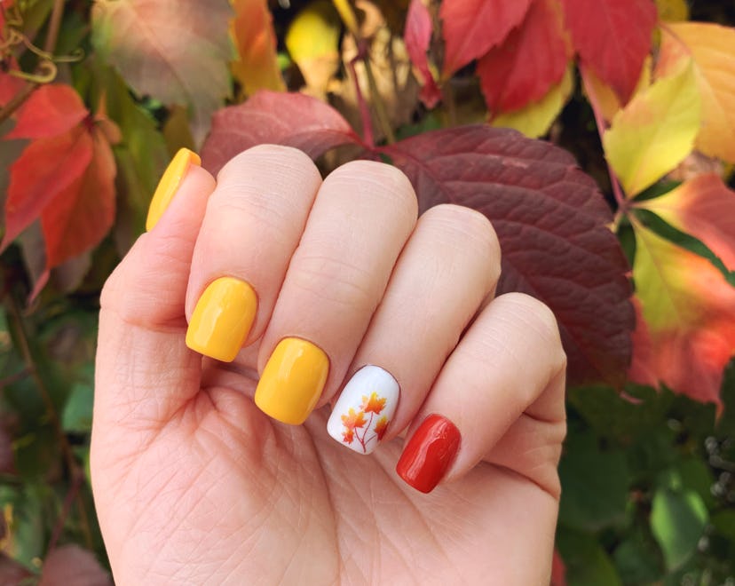 A Thanksgiving nail design with a soft square shape and fall leaves.