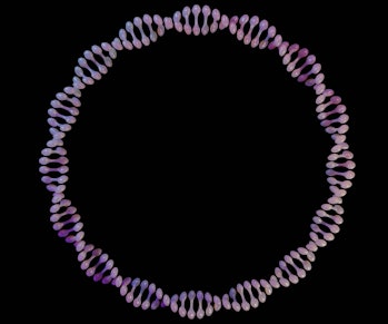 A plasmid is a small circular DNA molecule found in bacteria and some other microscopic organisms 3d...