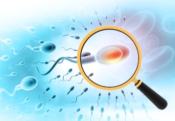 Magnifying glass with human sperm. 3d illustration	