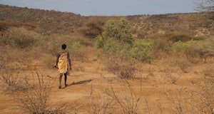 a hunter from the hadza people looking for animals to hunt