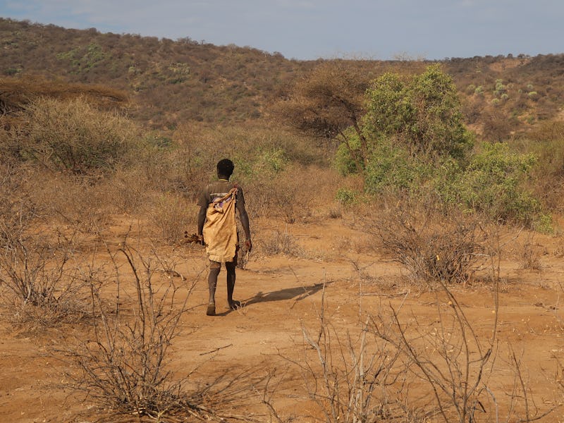 a hunter from the hadza people looking for animals to hunt