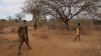 A group of hunters from the hadza people trying to find food