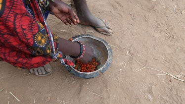 A local woman from the hadza people preparing ingredients for food 