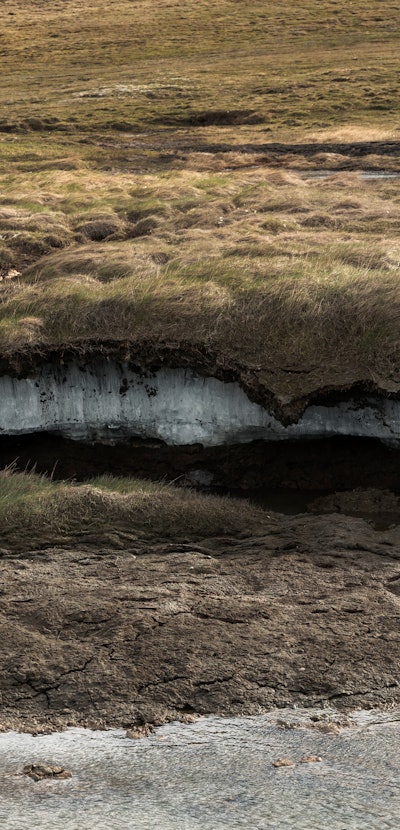 Formation of permafrost under tundra vegetation. Climatic changes in the Arctic zone. Global warming...