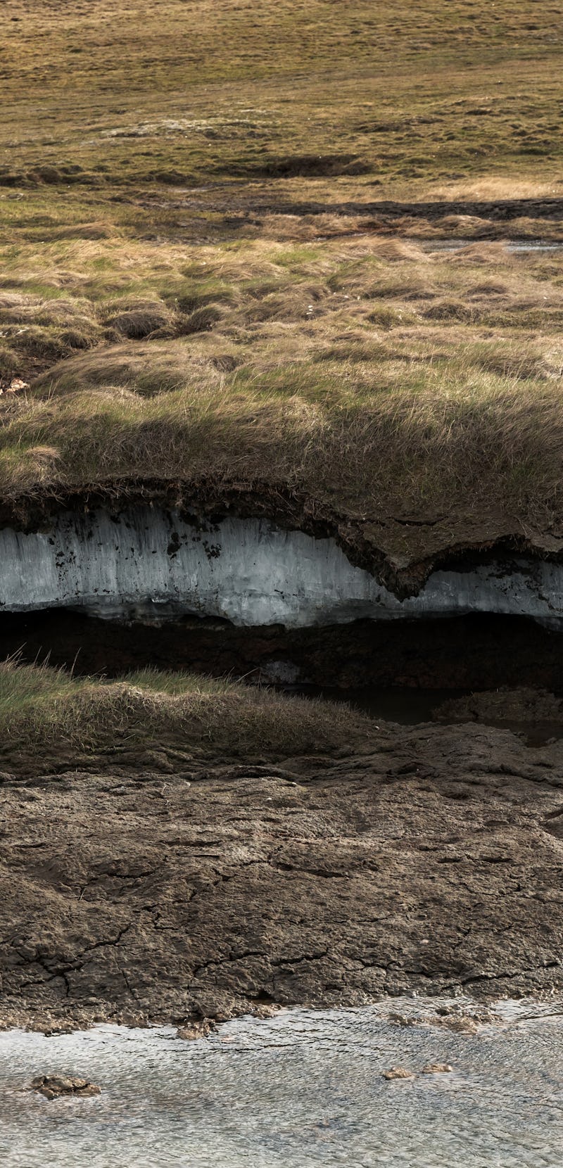 Formation of permafrost under tundra vegetation. Climatic changes in the Arctic zone. Global warming...