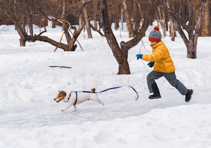 kid chasing pet throw the snow, captions for winter break