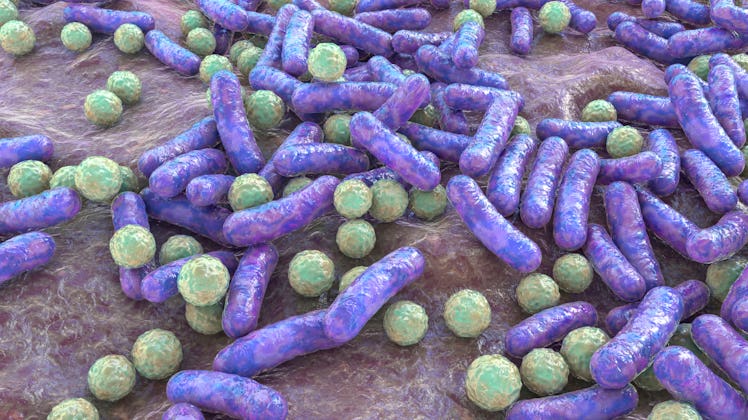 Rod-shaped bacteria and cocci, human microbiome, human pathogenic bacteria, 3D illustration