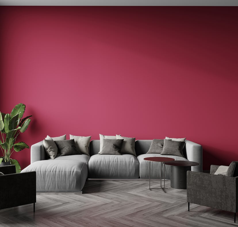 A home with Viva Magenta, Pantone's Color of The Year 2023, painted on the walls of a home with Viva...