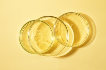 Top view of the petri dish staying on each other with bubbles inside.Warm yellow background with cop...