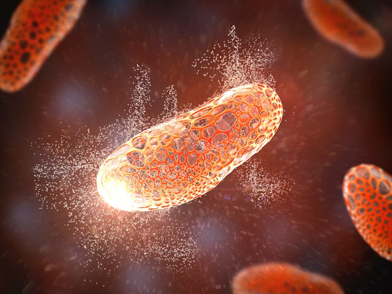 Destruction of bacterium, conceptual 3D illustration. Bacterium with wholes in its cell wall. Action...