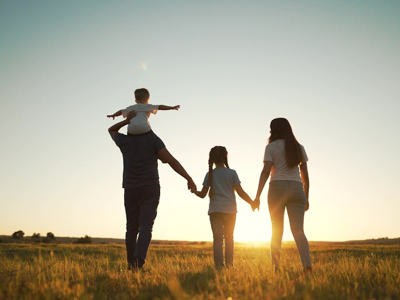 Happy family walk in field in nature.Parents and children are free and active people in nature.Healt...