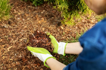 Gloved hands adding mulch to a garden bed, one of the best winter gardening tips.