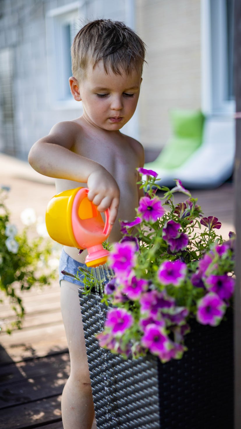 The kid takes care of flowers and plants on the terrace of his own home. Watering carrots, dill and ...