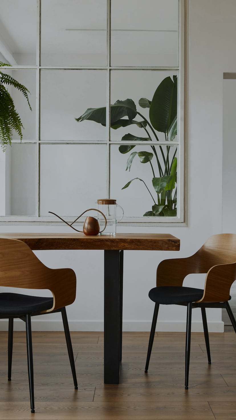 Stylish and botany interior of dining room with design craft wooden table, chairs, a lof of plants, ...