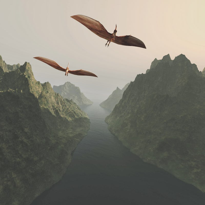 Pterodactyl flying above lake and mountains . This is a 3d render illustration . 