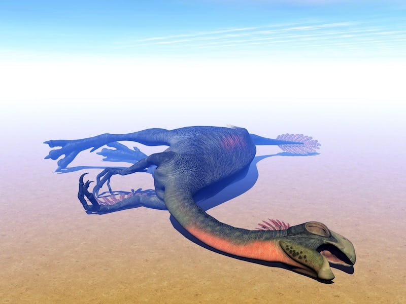 Gigantoraptor dinosaur lying dead in sunny and hot desert