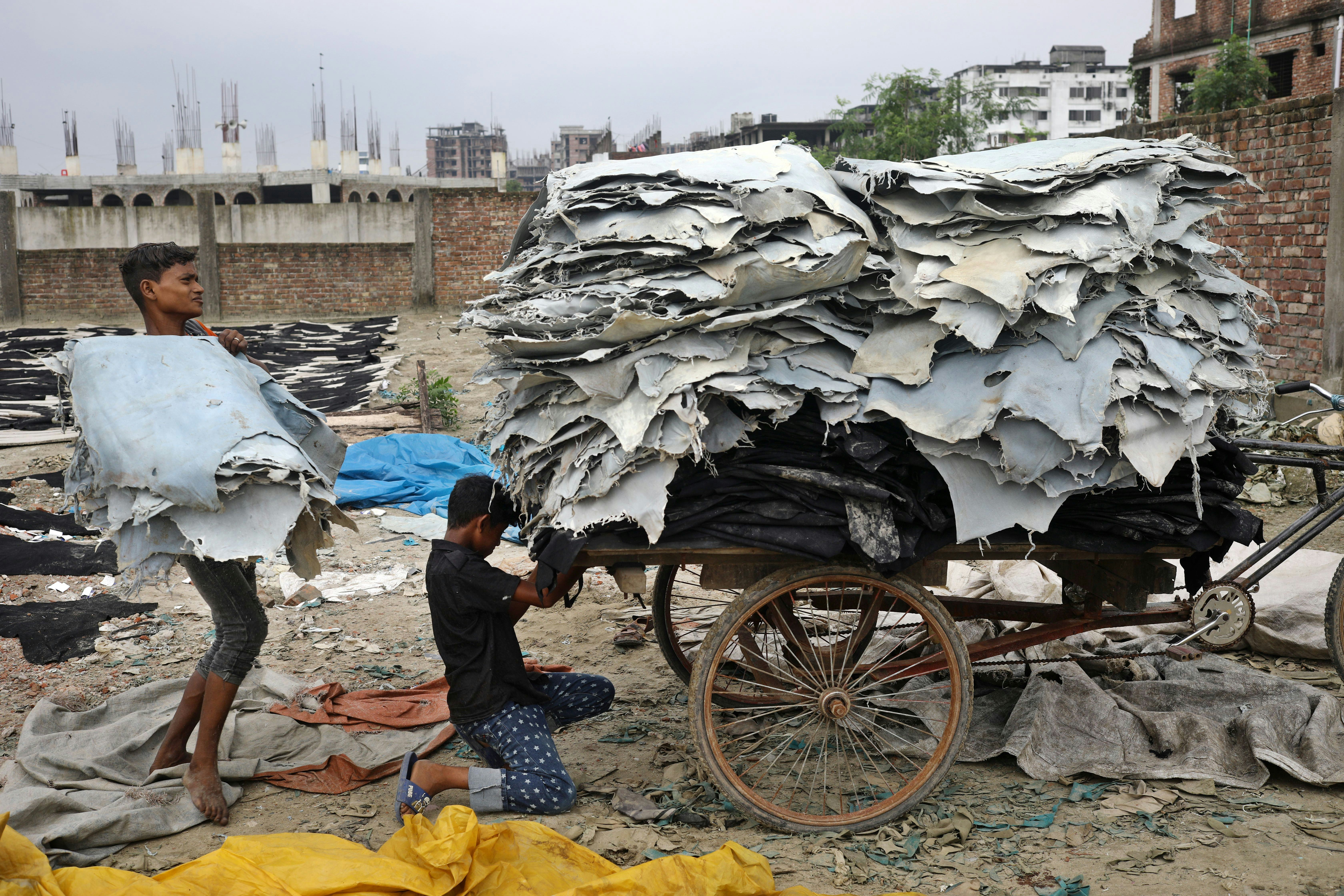 Child workers load raw dry leather on a van to shift at a wirehouse for further processing in Dhaka,...