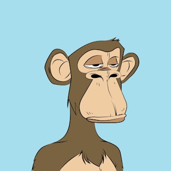 Ape with bored face. Original bored monkey NFT artwork. Crypto graphic asset . Flat vector illustrat...