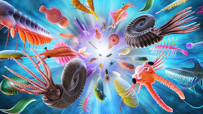 Cambrian explosion or Cambrian radiation 3D illustration