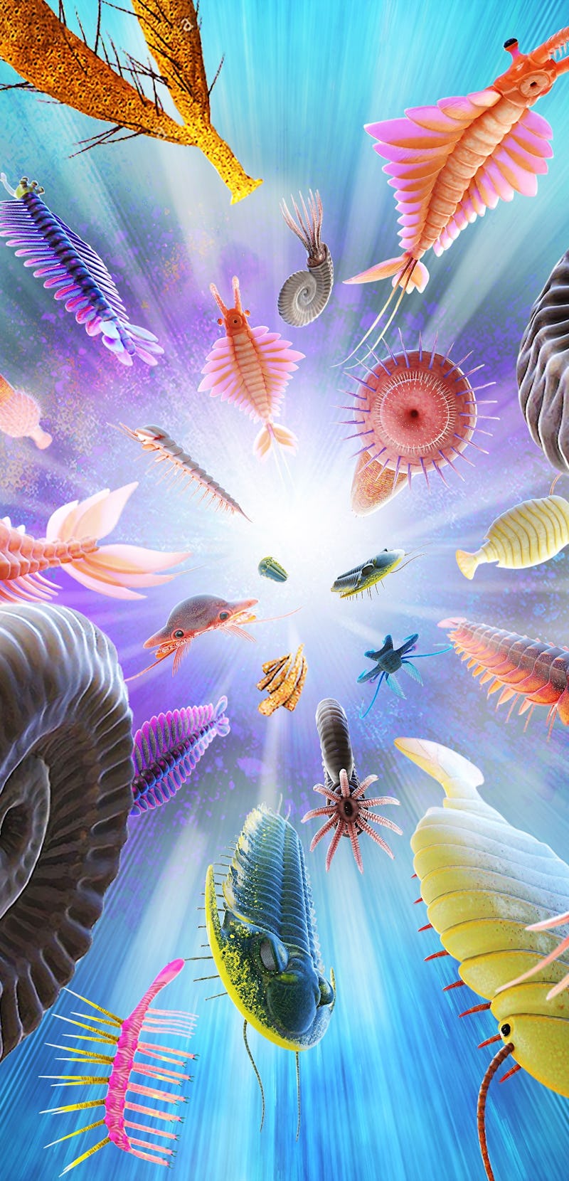 Cambrian explosion or Cambrian radiation 3D illustration