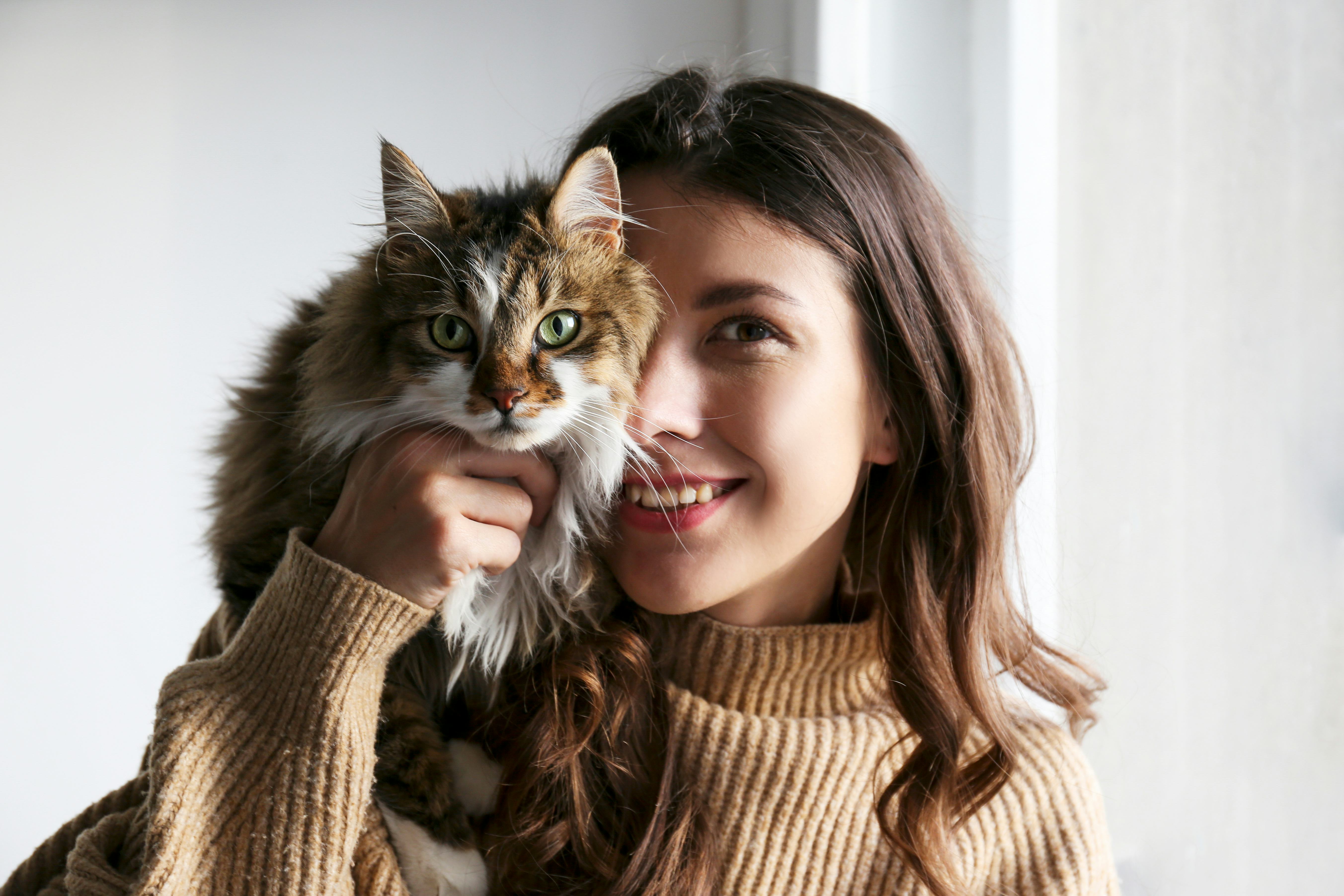 Captions For When Your Cat Is Your Valentine That Are Purrrfect For  Instagram